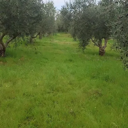 Casa Ferrero Апартаменты *